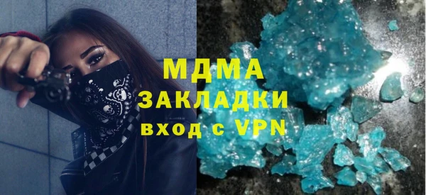 твердый Гусев