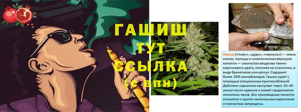 ГАЛЛЮЦИНОГЕННЫЕ ГРИБЫ Горно-Алтайск