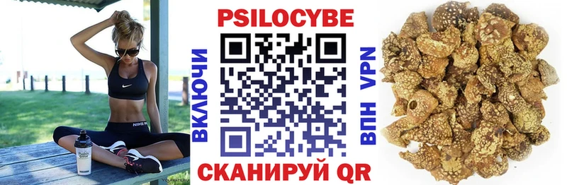 Псилоцибиновые грибы прущие грибы Дигора